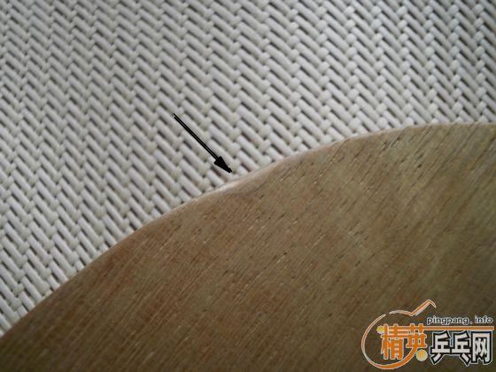 �����ִ���FL