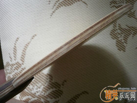 �����ִ���FL