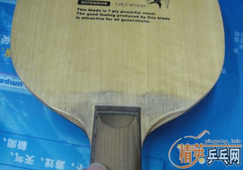 ��֧���������������������88g,510����