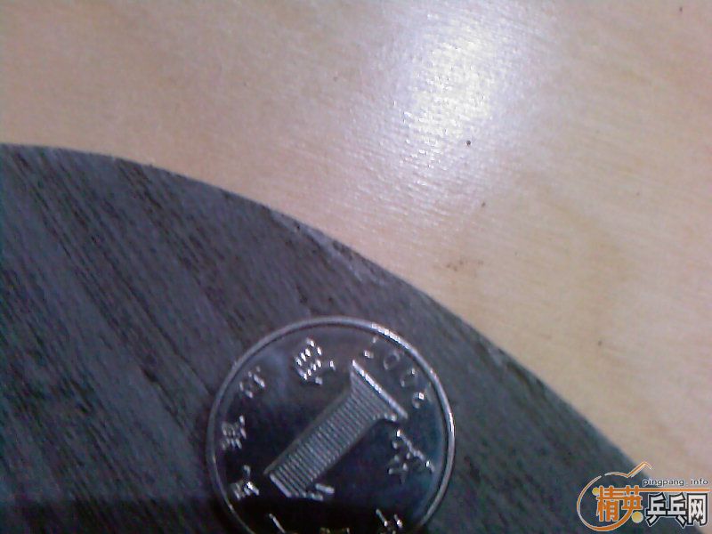 �������   ������ֱ988~~~~~~~~~~~~~