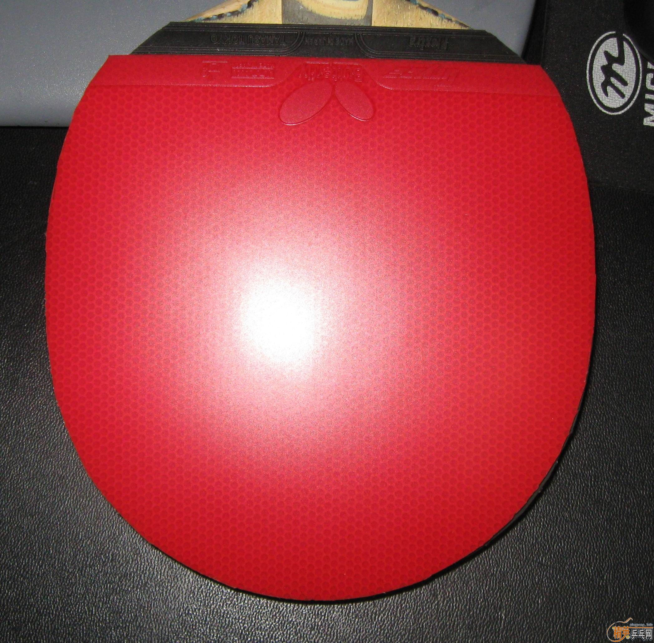 ����С��һ���Լ������׽�T05�ʹ�ͣ�С���ѳ���