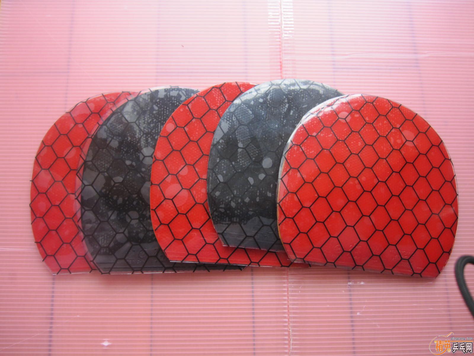 ��09ʡ��39�����飬�켫���տ񣬵��׽�