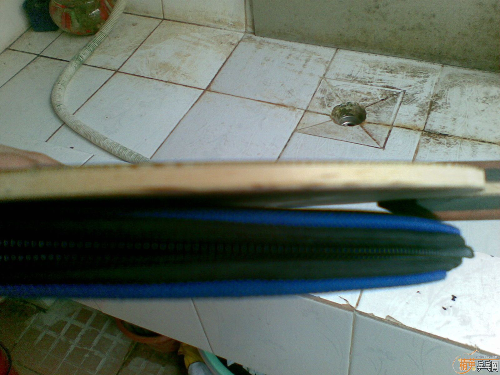 ����oc ͦ�µ�