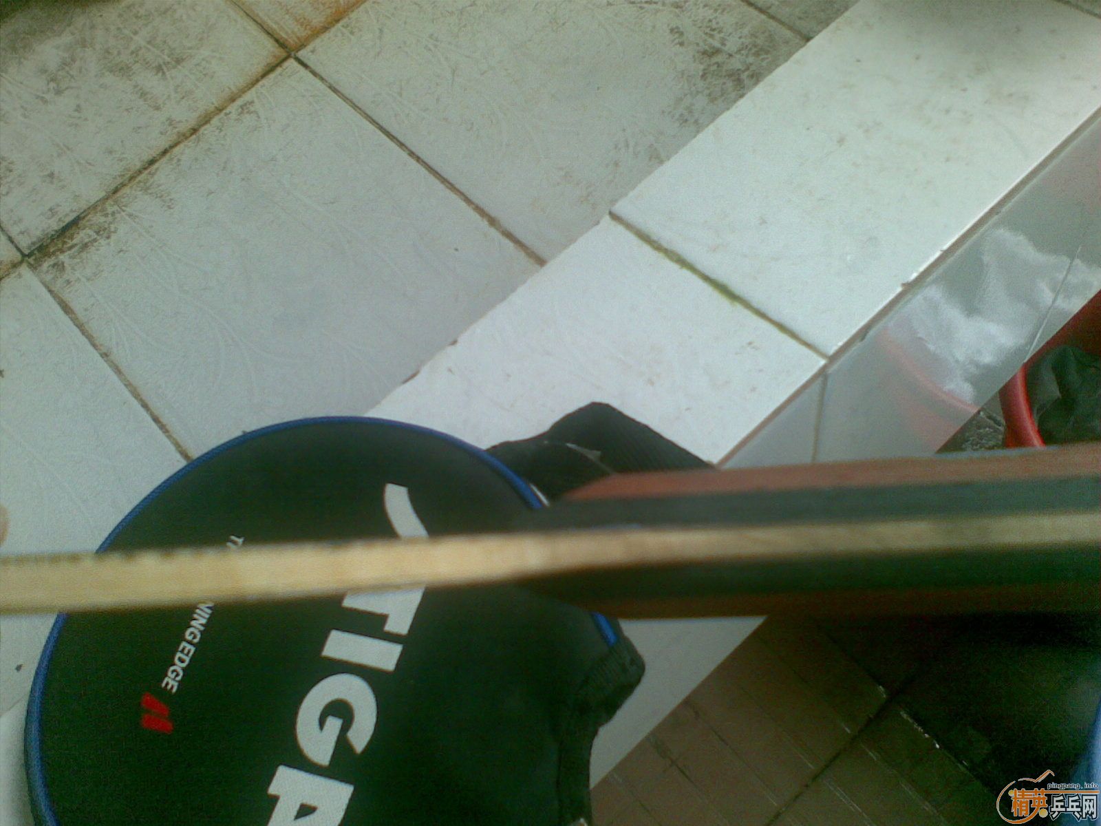 ����oc ͦ�µ�