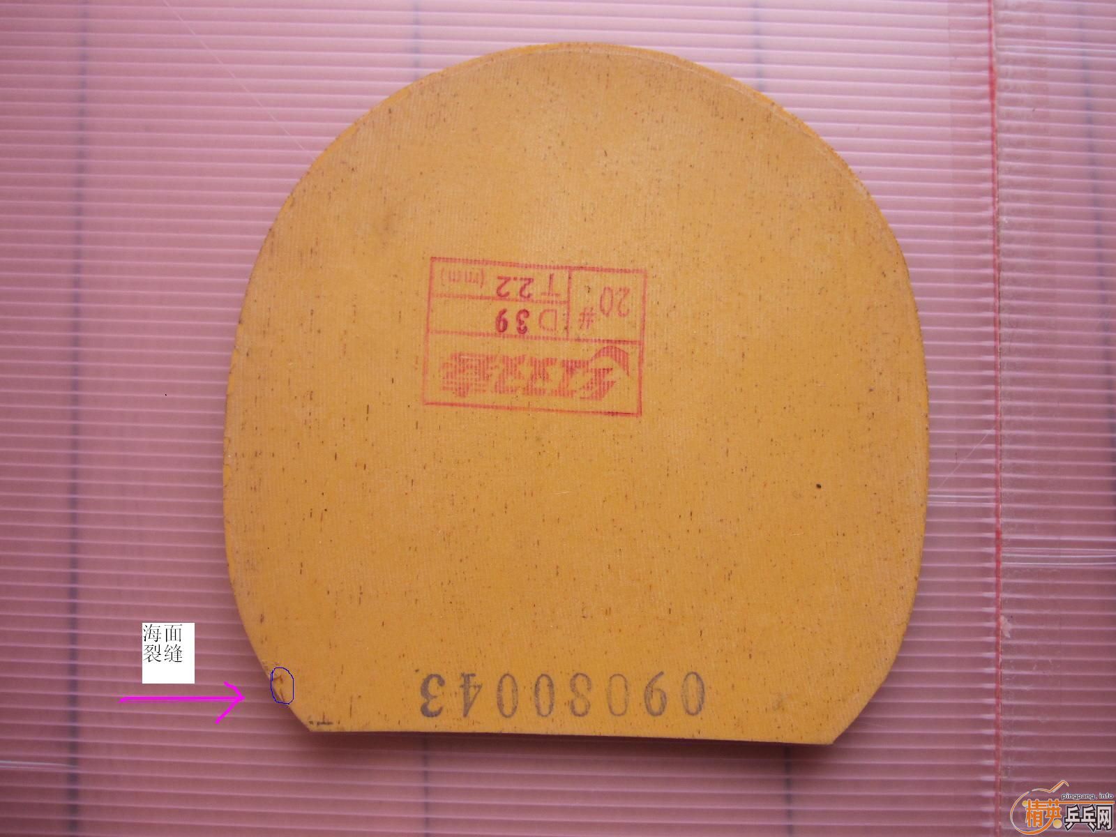 ��09ʡ��39�����飬�켫���տ񣬵��׽�