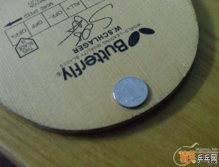 ʩ̼��������ˣ�