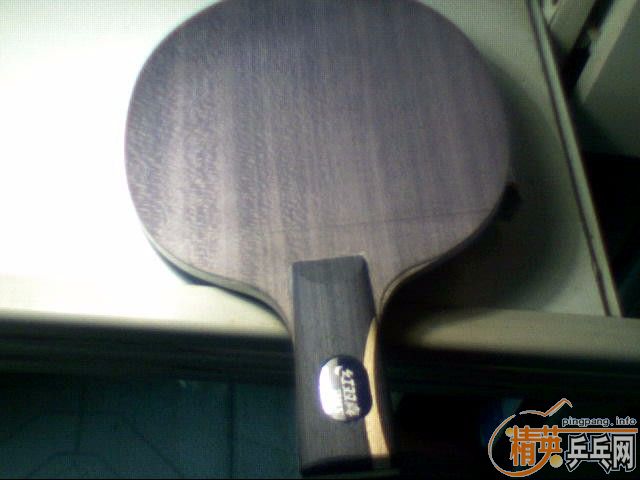 85����һֻ�����ṹ��ֱ�壨