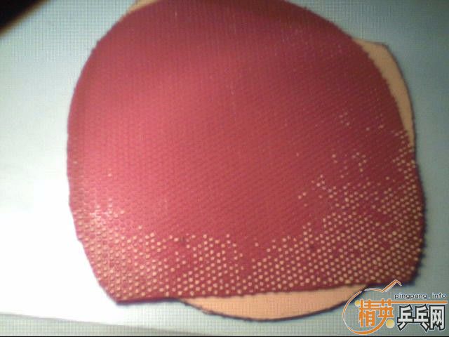 85����һֻ�����ṹ��ֱ�壨