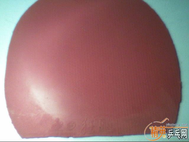 85����һֻ�����ṹ��ֱ�壨