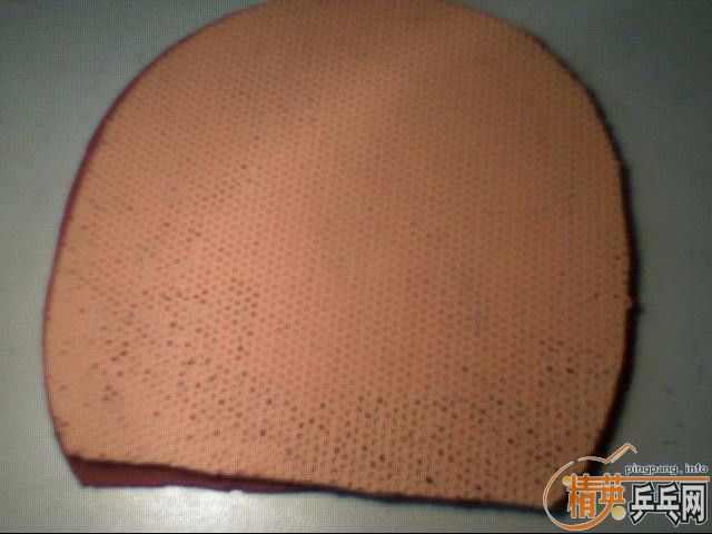 85����һֻ�����ṹ��ֱ�壨