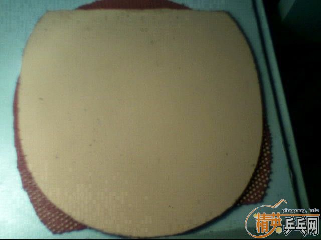 85����һֻ�����ṹ��ֱ�壨