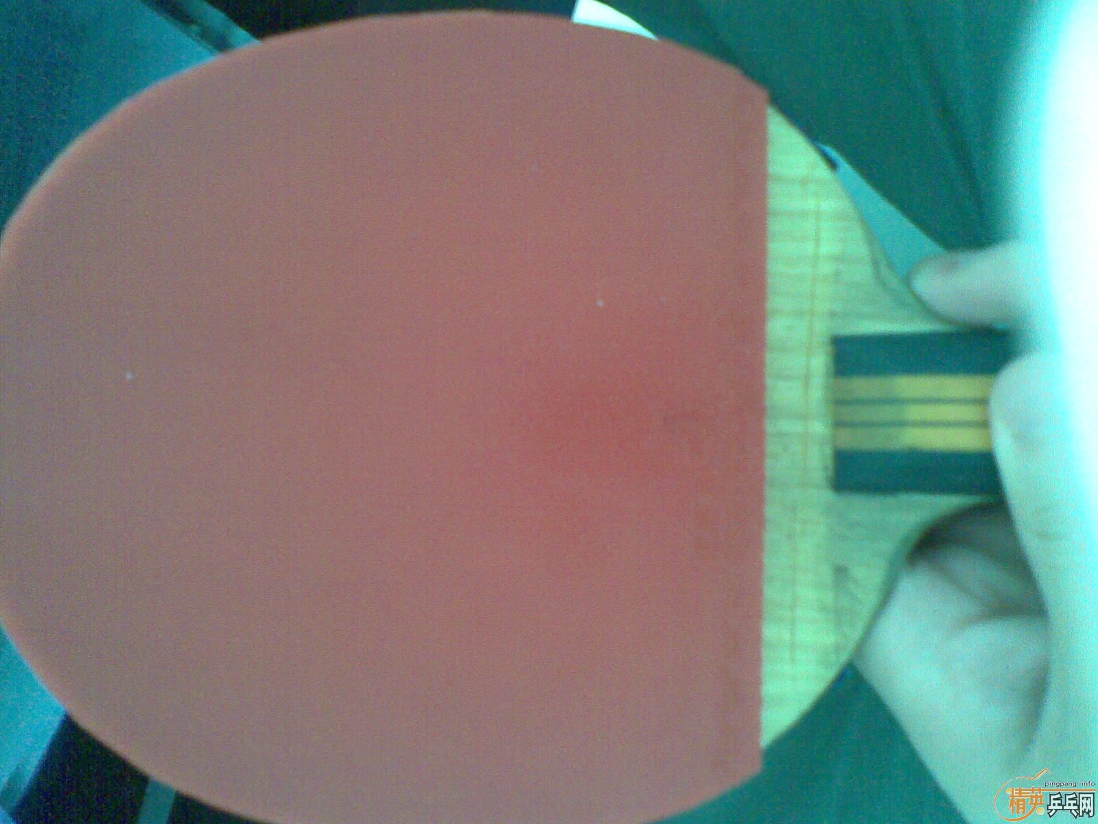 ľ����  ʡ��  40  ����ս�� ȫ��500������