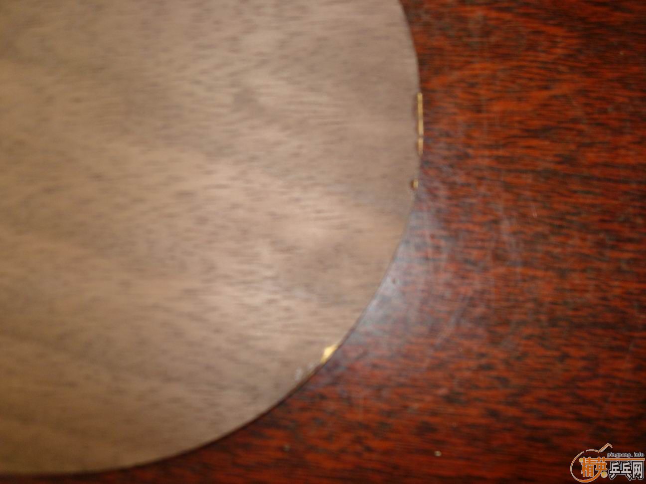 ŷ���ѽ�5.4�����ۣ�300��