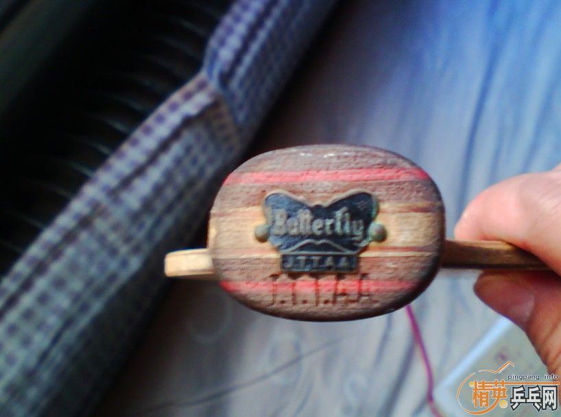 ������ľ+++++++++++++++++++����