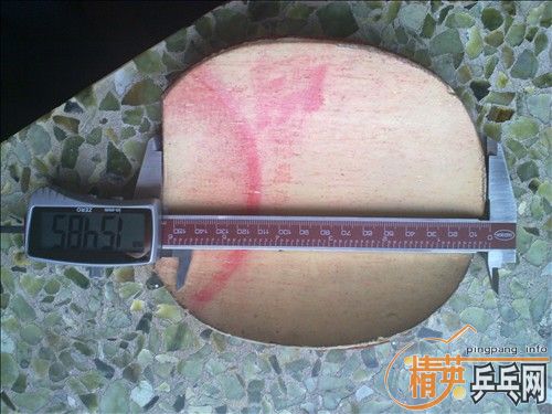 �׽������