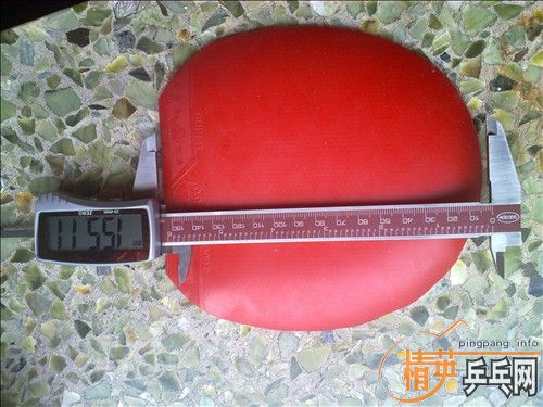 �׽������