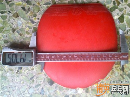 �׽������