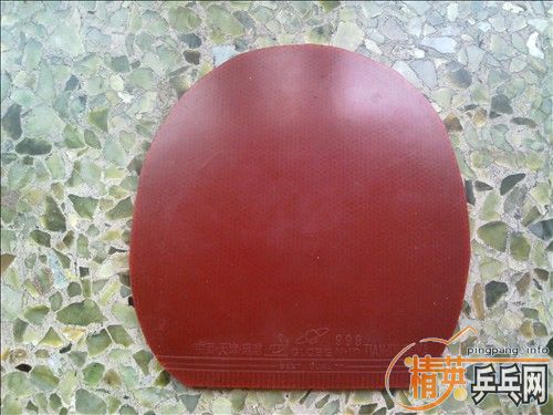 �׽������