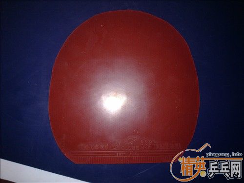 �׽������