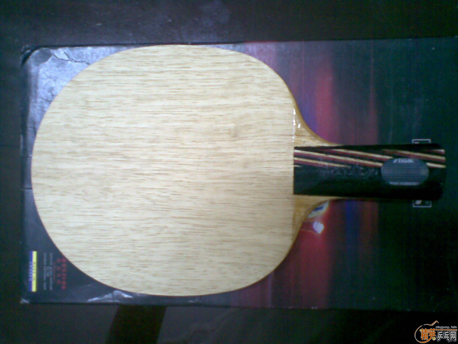 ��֧���������³���˹̼��