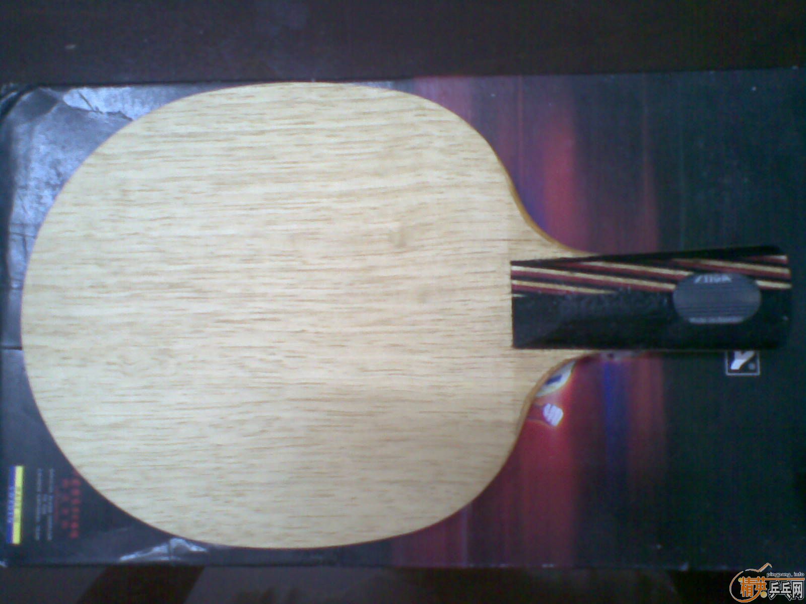 ��֧������������˹��̼