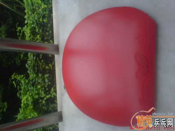 ����ٶ�FX ��/