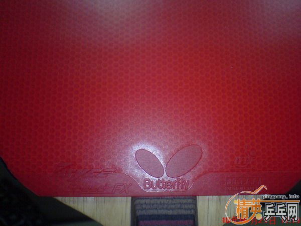 ����ٶ�FX ��/