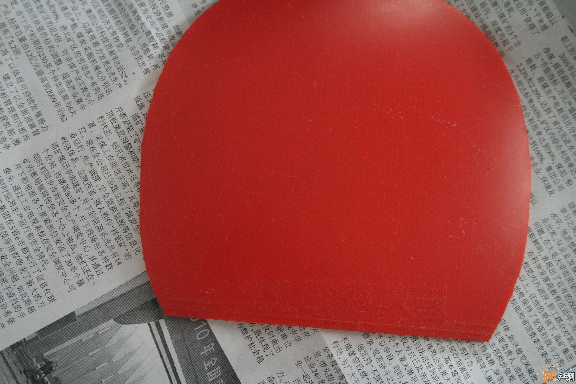 80��9���±��˳�06ʡ��