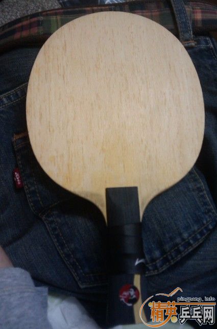 ����WL�������ṹ~600����