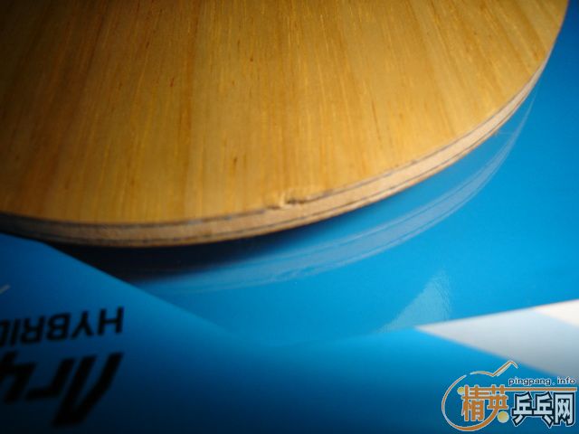 INNERFORCE-ALC ST Donic acuda S1 �� COPPA X1 GOLD