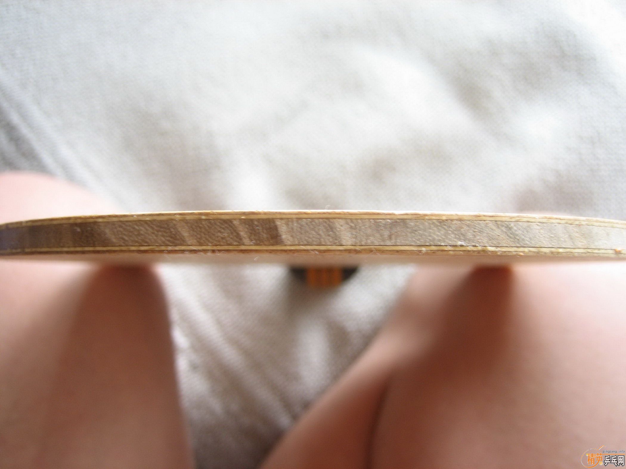 (֧��֧��������)��쭺ƾ��淴����9��280Ԫ ������YDM17��98��465Ԫ ľ����99��790Ԫ(����ͼ)