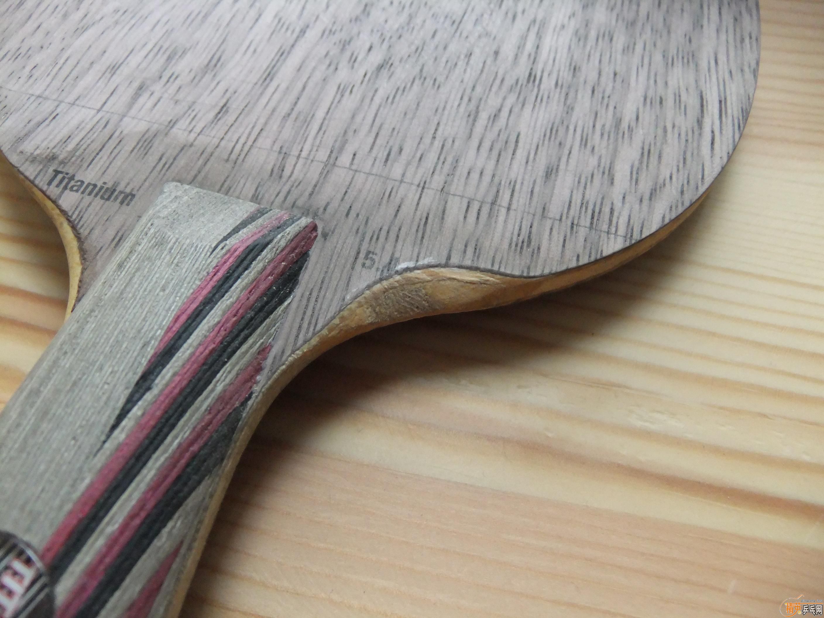 9���л�ϸ�ֱ�Ti5.4 450Ԫ ���ʷ� �ǳ�����