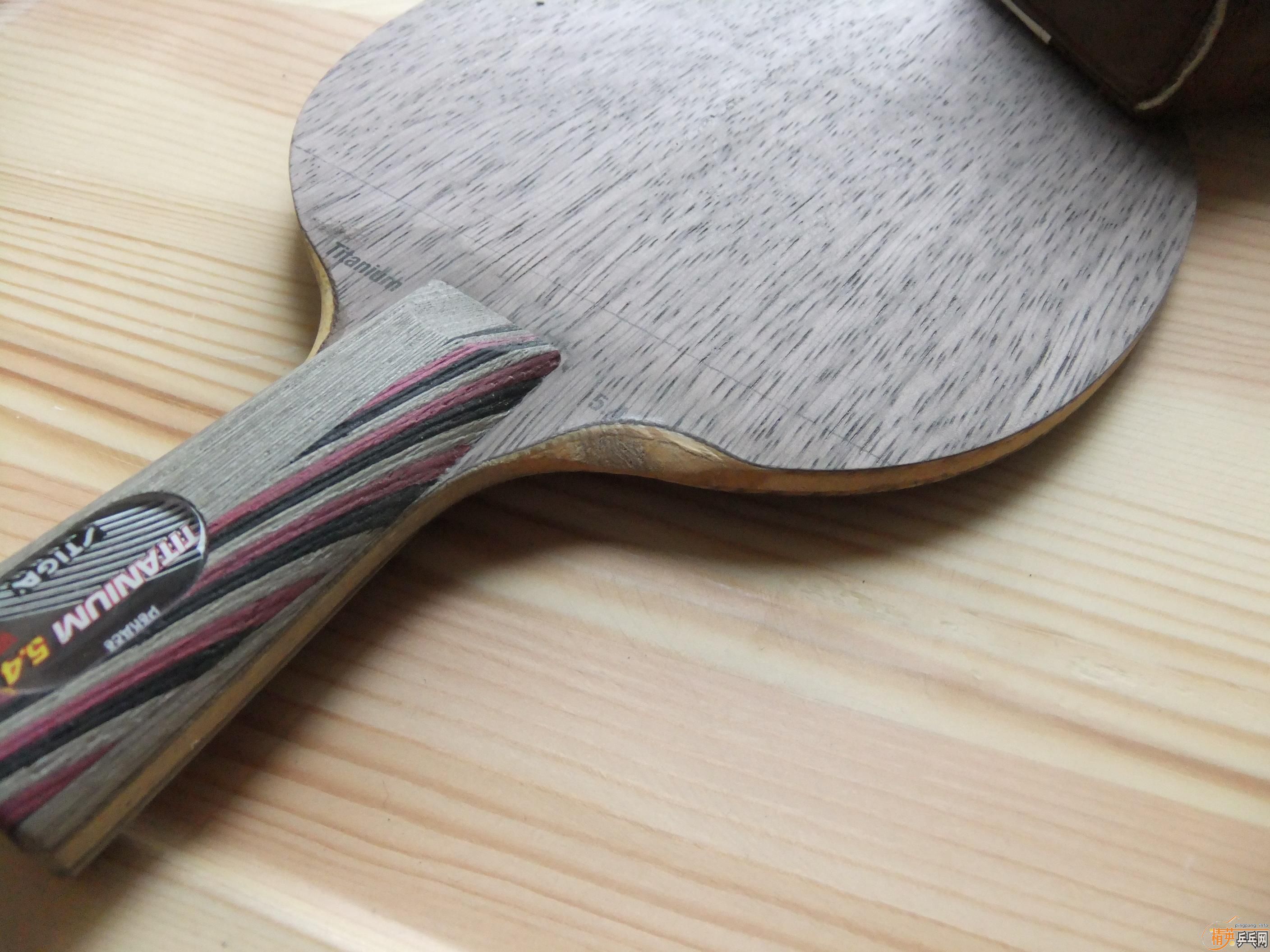 9���л�ϸ�ֱ�Ti5.4 450Ԫ ���ʷ� �ǳ�����