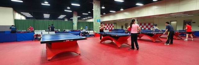 ϾȫֲZball