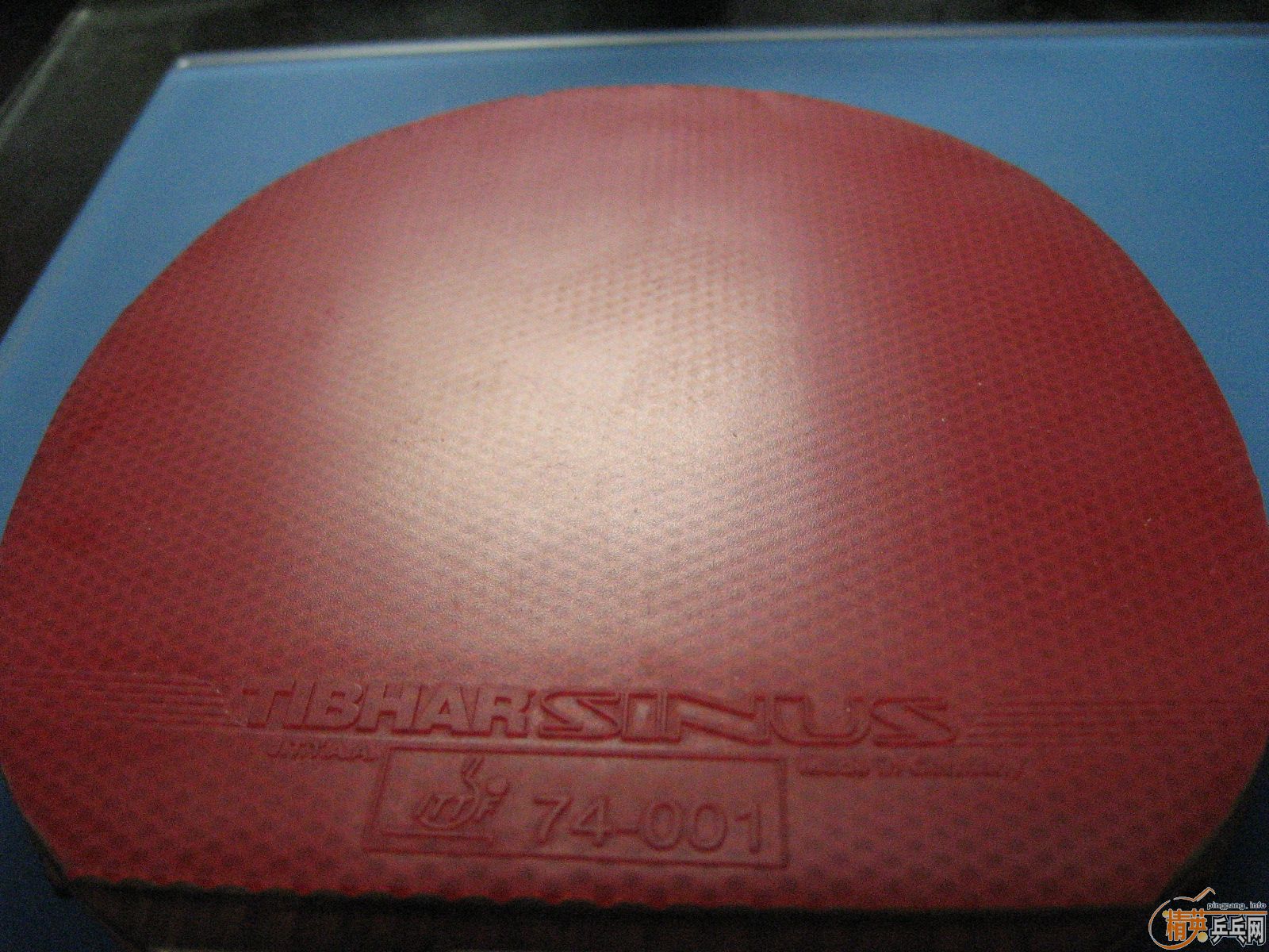 8   Sinus  60