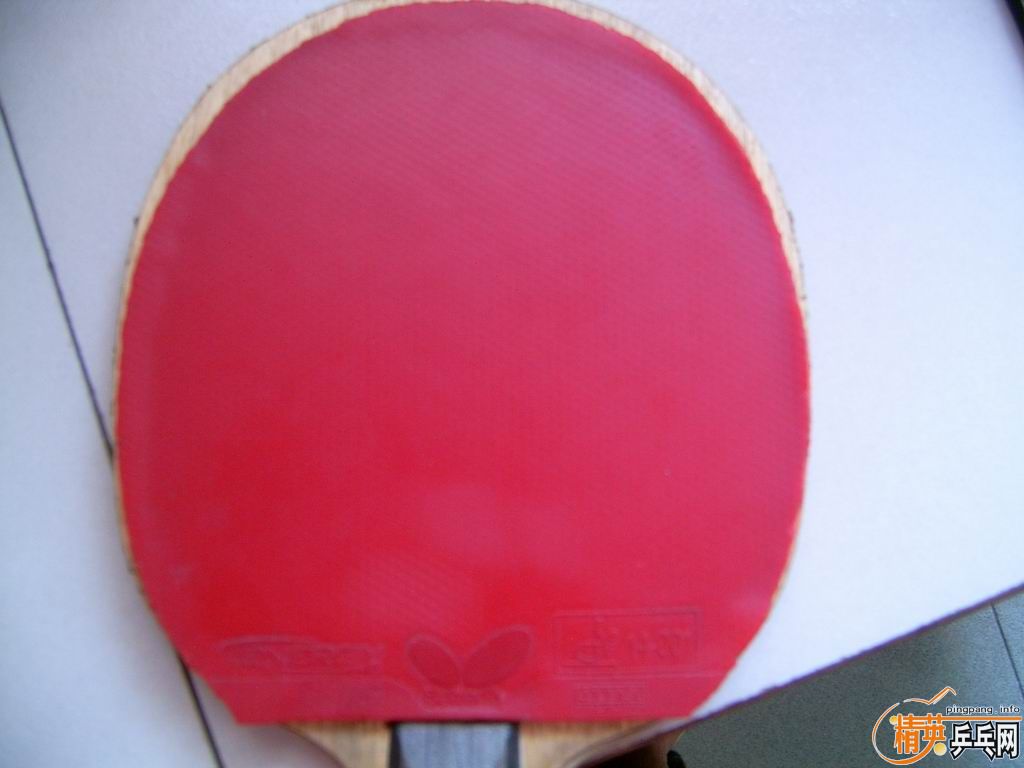 9�������� �׷��� 100 ֧���� ���к�ɫ����T05 80����