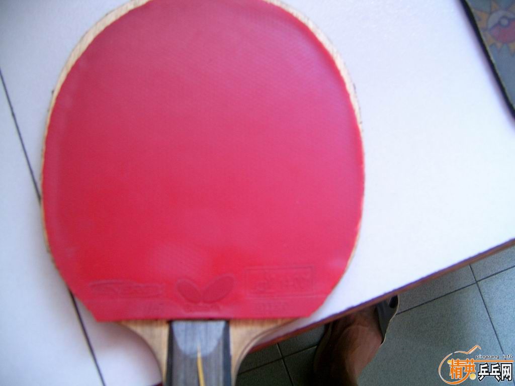 9�������� �׷��� 100 ֧���� ���к�ɫ����T05 80����