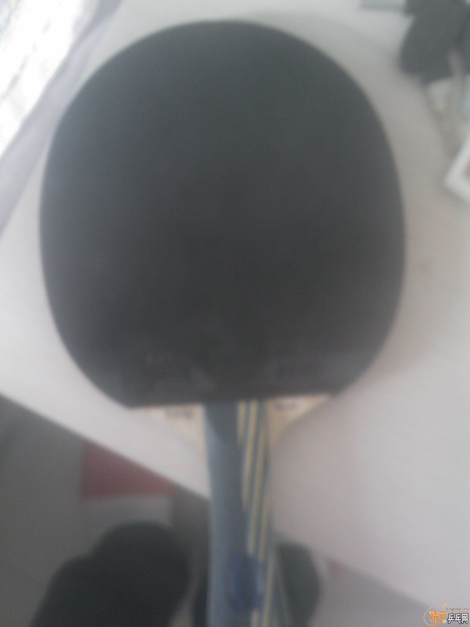 ��ʤ�л�EG���  ��ֱ��YE�� Allround Classic