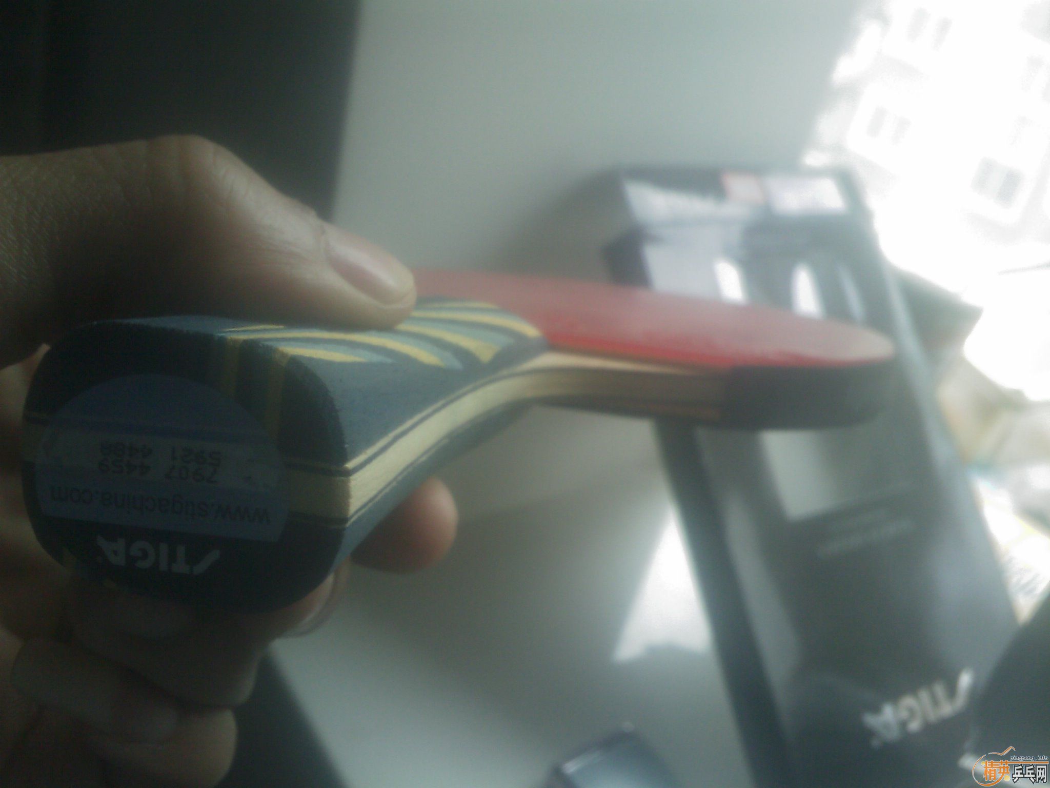 ��ʤ�л�EG���  ��ֱ��YE�� Allround Classic