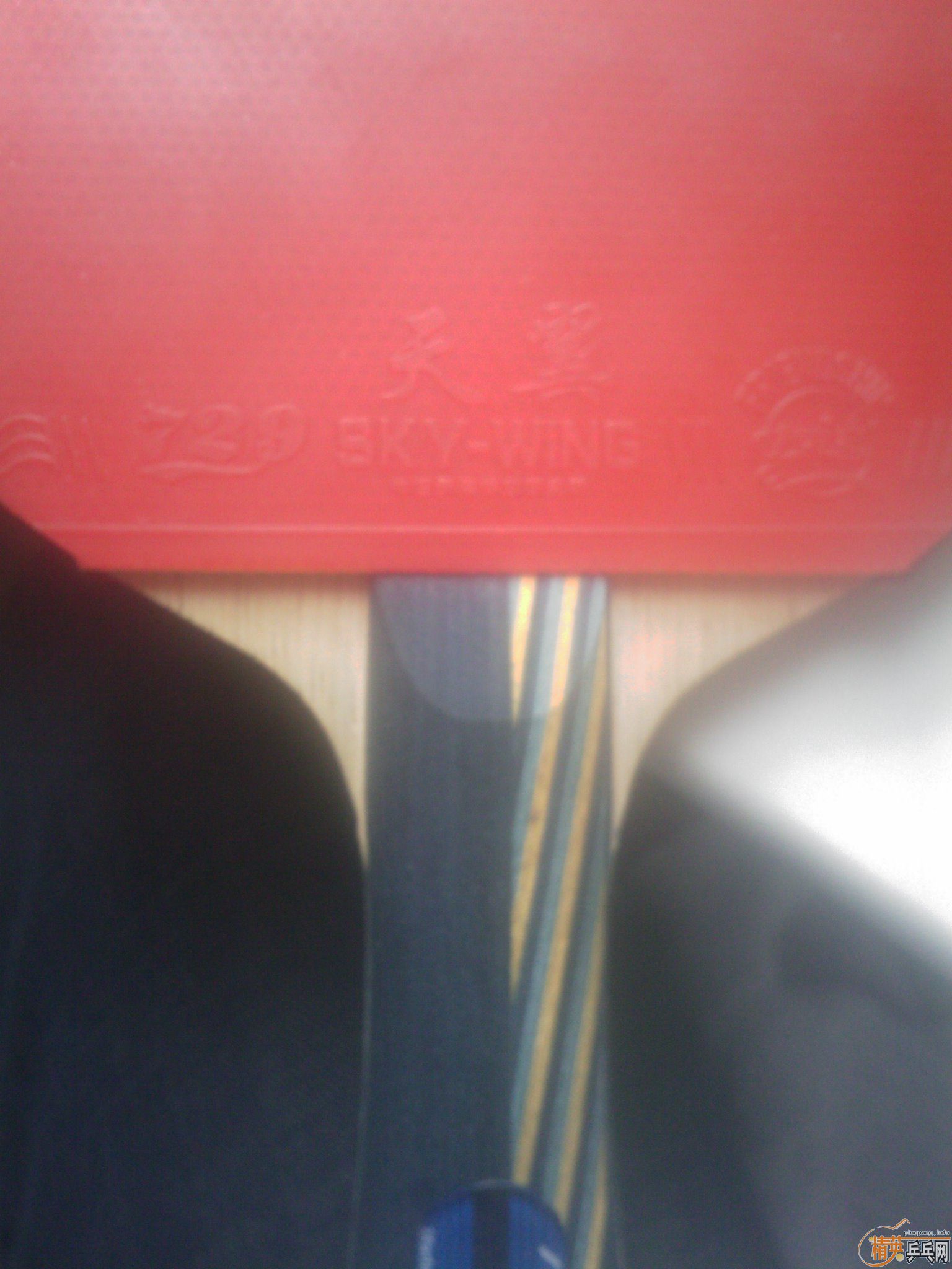 ��ʤ�л�EG���  ��ֱ��YE�� Allround Classic