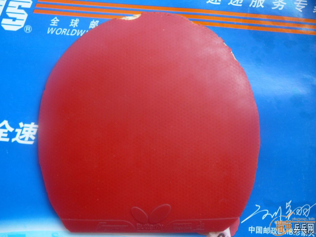 9.9��EL���ɴ��