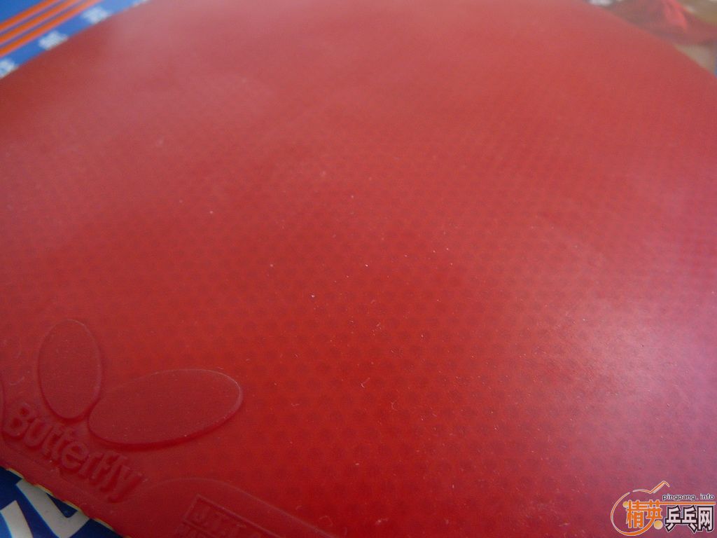 9.9��EL���ɴ��