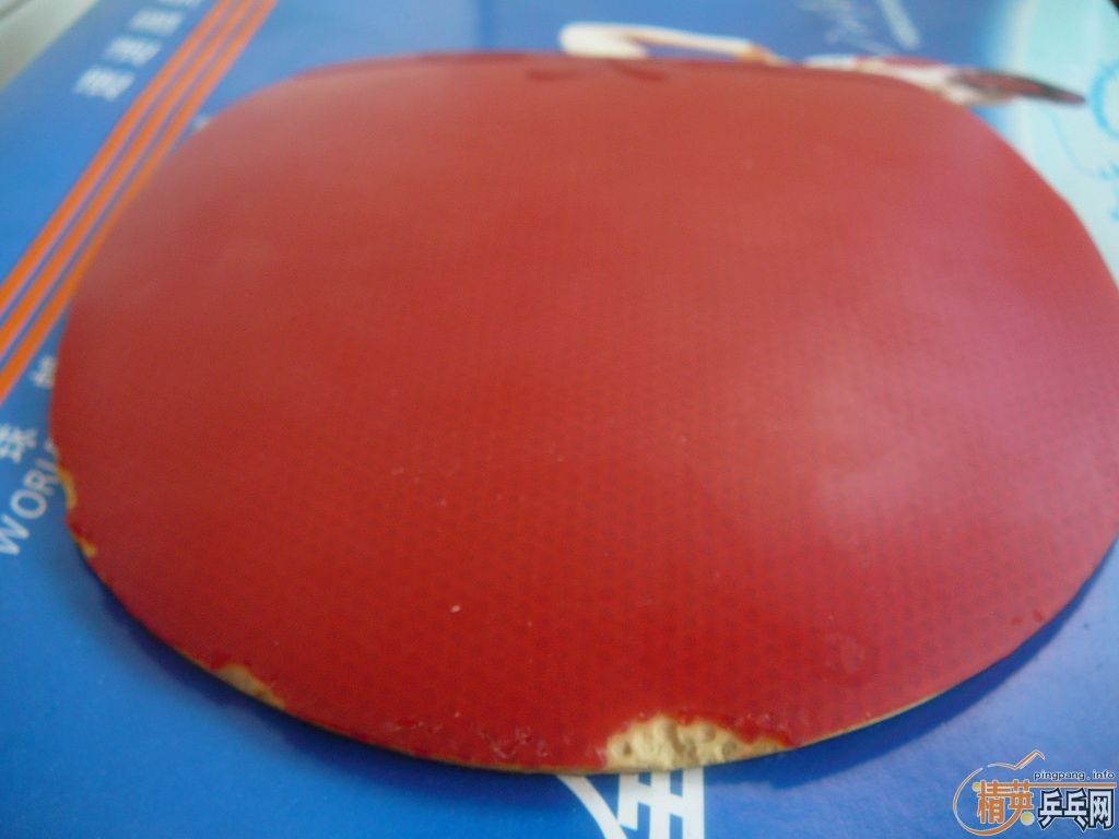 9.9��EL���ɴ��