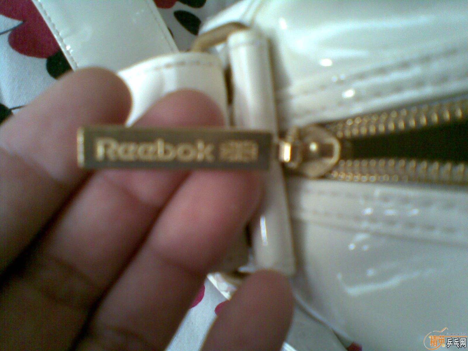 ��������,һ����,һ������.��100Ԫ������.