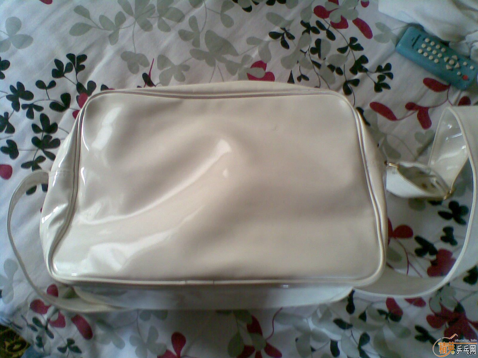 ��������,һ����,һ������.��100Ԫ������.