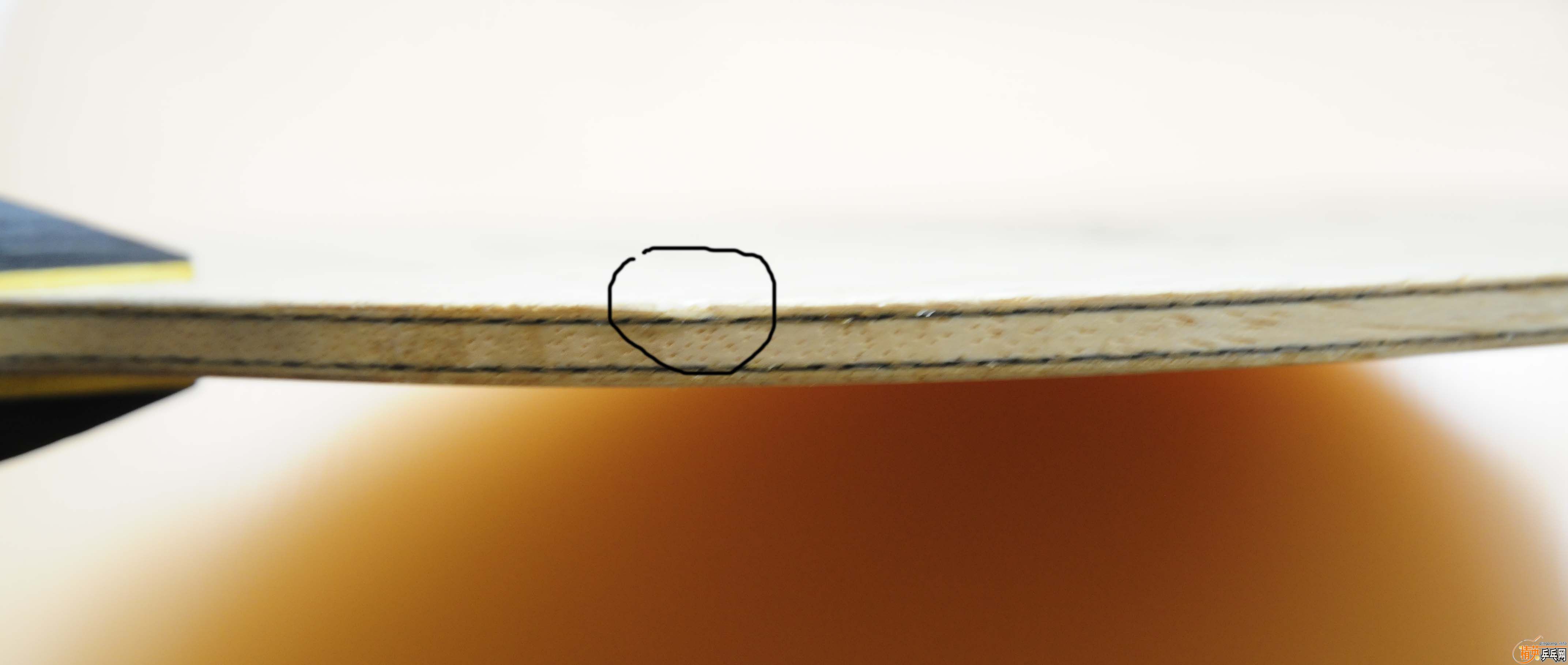 ___����INNERFORCE ZLC��ɫ����___