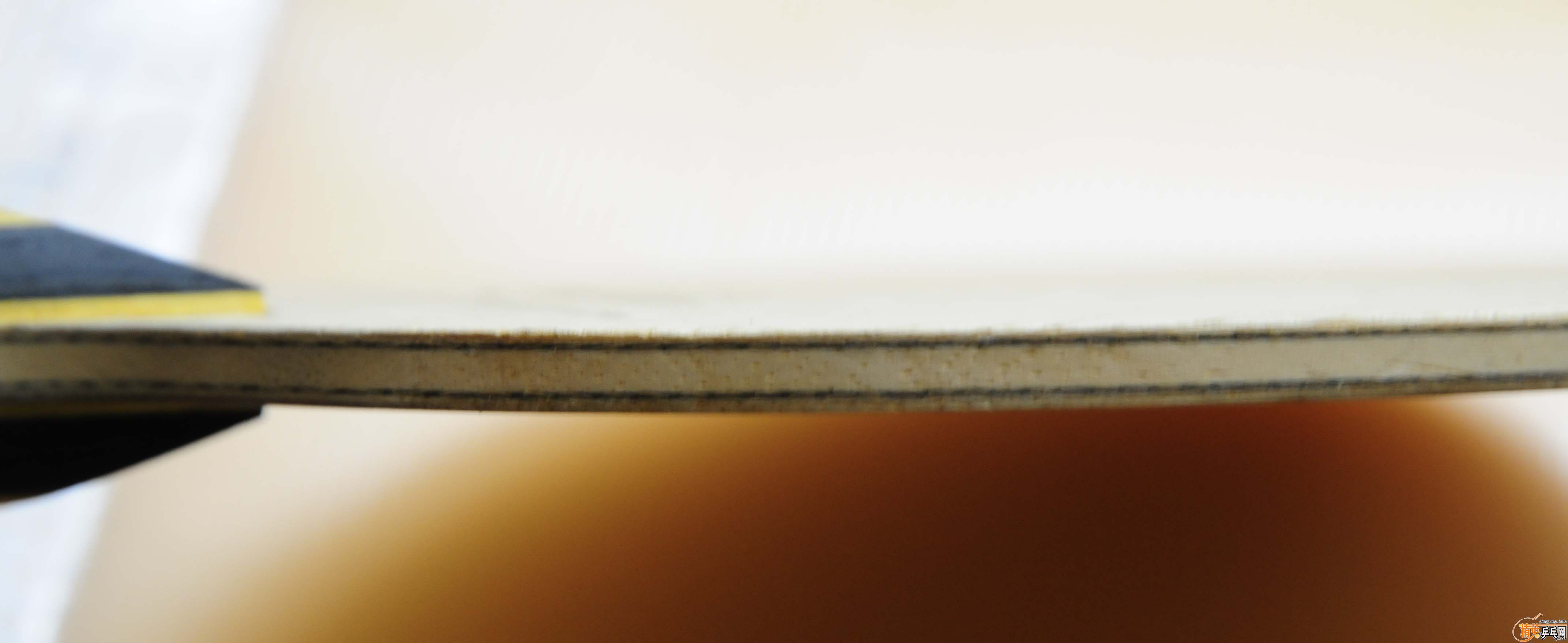 ___����INNERFORCE ZLC��ɫ����___