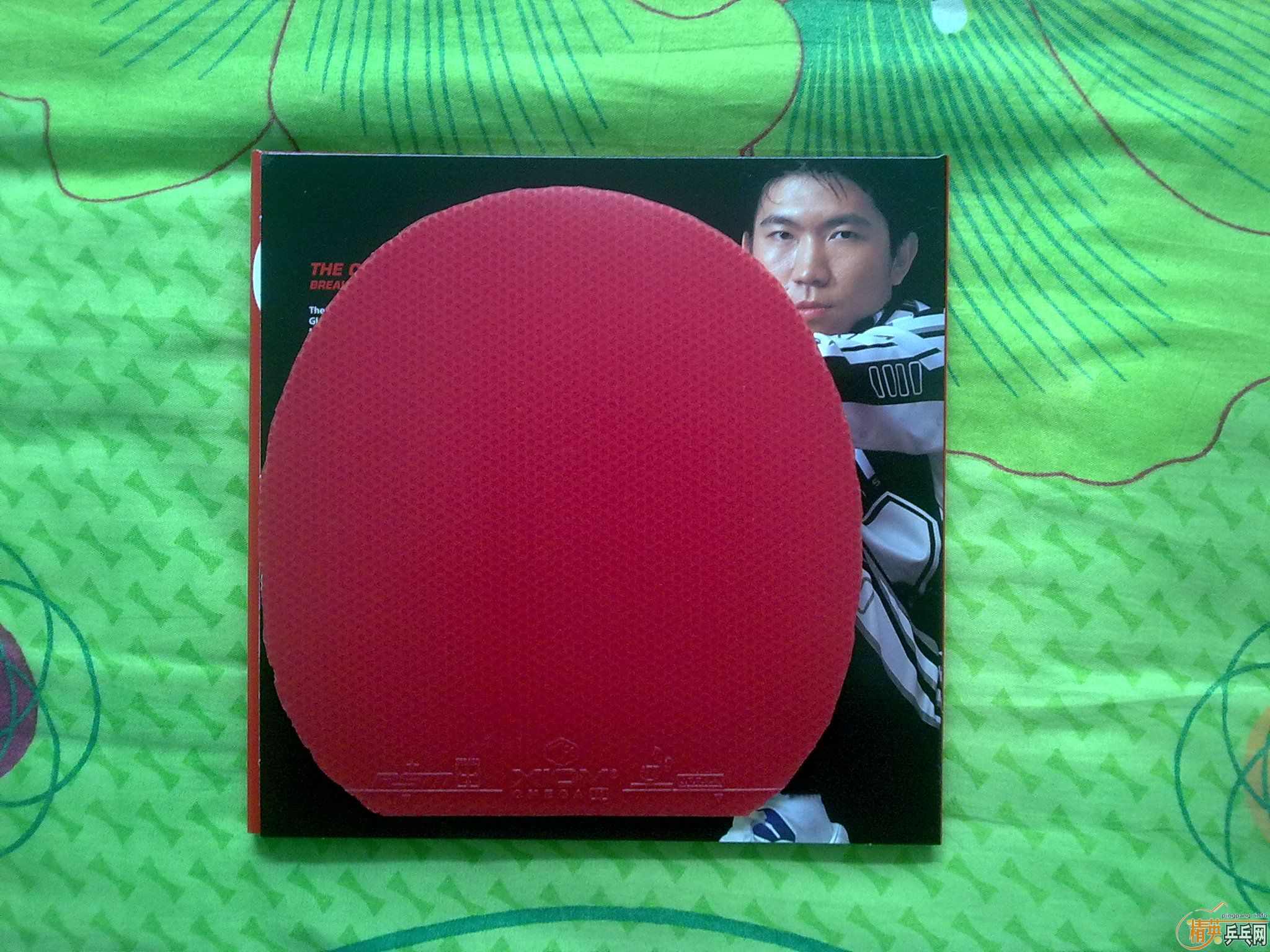 220��һ��ֻ���һ�ε�ŷ��٤2����ɫ������