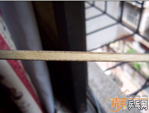 �� �Ʊ��� ������ YEO