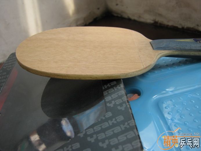 260������հ�YE�������׽���������Żݶࣩ